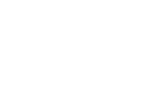 mesfit-logo